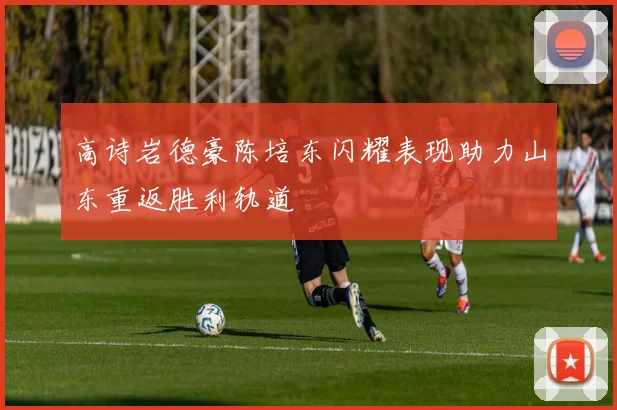 高诗岩德豪陈培东闪耀表现助力山东重返胜利轨道