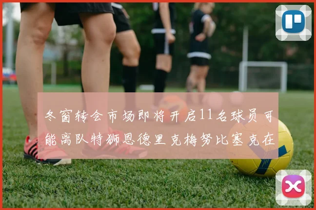 冬窗转会市场即将开启11名球员可能离队特狮恩德里克梅努比塞克在列